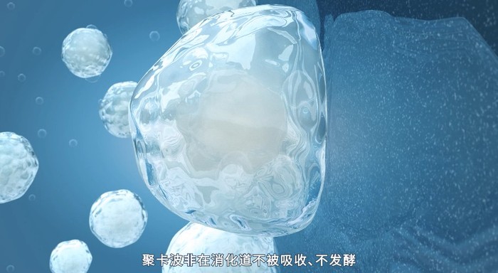 药物小分子吸收